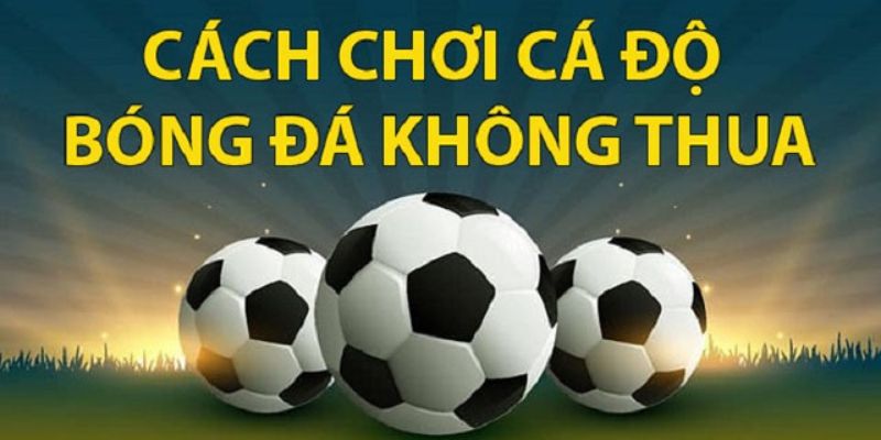 Cách Chơi Cá độ Bóng đá Không Thua: Mẹo Hay Từ Chuyên Gia