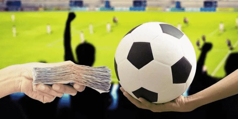 Cách Chơi Cá độ Bóng đá Không Thua: Mẹo Hay Từ Chuyên Gia