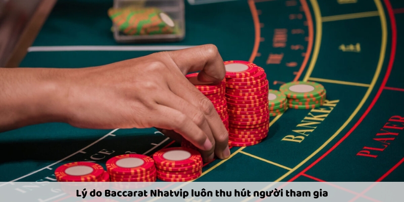 Cược Baccarat Tại Các Sòng Bạc Uy Tín