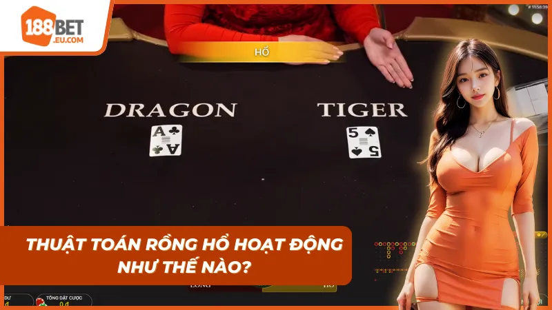 Sự Thật Về Thuật Toán Rồng Hổ: Nhà Cái Có Can Thiệp Kết Quả “Bịp” Người Chơi Không?