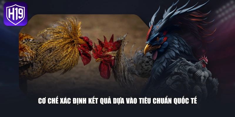 Luật Cược Đá Gà Cựa Dao Chi Tiết Từ A Đến Z Cho Người Mới