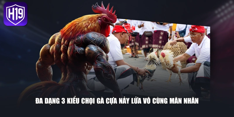 Sảnh Đá Gà H19 Kịch Tính Mang Đến Trải Nghiệm Đỉnh Cao