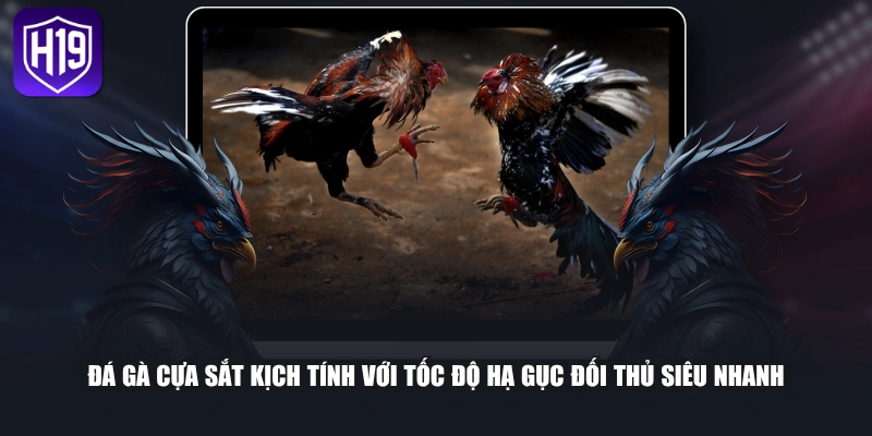 Đá Gà Cựa Sắt - Đấu Trường Chọi Kê Đỉnh Cao Trực Tuyến 2026