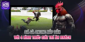 Sảnh Đá Gà H19 Kịch Tính Mang Đến Trải Nghiệm Đỉnh Cao