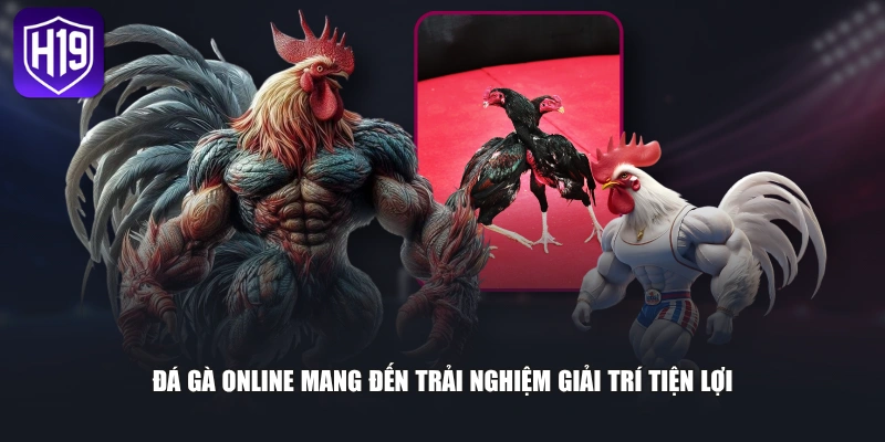 Đá Gà Online Hấp Dẫn Với 4 Hình Thức Giải Trí Ăn Khách