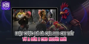Sảnh Đá Gà H19 Kịch Tính Mang Đến Trải Nghiệm Đỉnh Cao