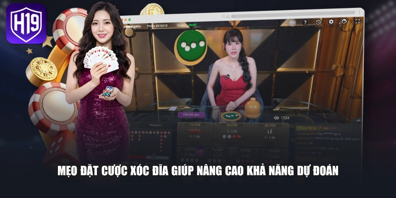Cách Chơi Xóc Đĩa Chuẩn Xác Dành Cho Người Mới Bắt Đầu