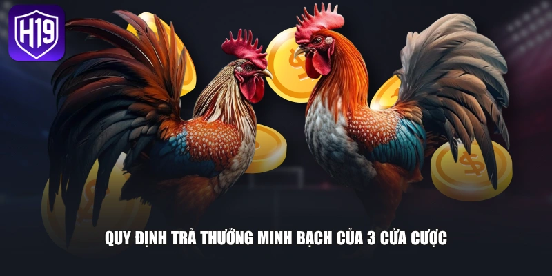 Đá Gà Online Hấp Dẫn Với 4 Hình Thức Giải Trí Ăn Khách