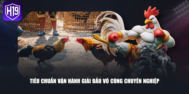 Đá Gà Cựa Sắt - Đấu Trường Chọi Kê Đỉnh Cao Trực Tuyến 2026