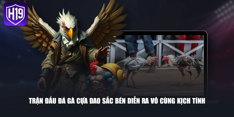 Luật Cược Đá Gà Cựa Dao Chi Tiết Từ A Đến Z Cho Người Mới